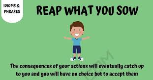 Image result for reap what you sow