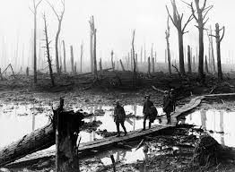 Woods in Wartime - Trees on the Front Line - Picturing the Great ...