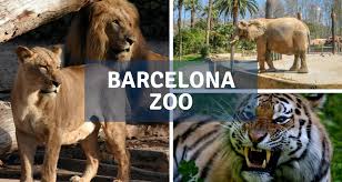 The Zoo of Barcelona | Barcelona-Home