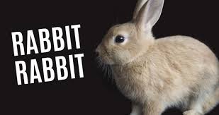 Why People Say Rabbit Rabbit on the First Day of the Month