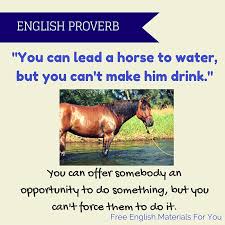 You can lead a horse to water, but you can't make him drink.” – English  proverb | Free English Materials For You
