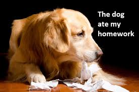 The dog ate my homework - Family and Fertility Law