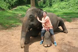 English teaching children games – Thay Paul's Notes